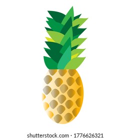 Pineapple. Illustration of pineapple fruit ,summer fruits, for a healthy and natural life,