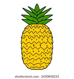 pineapple illustration hand drawn colored vector