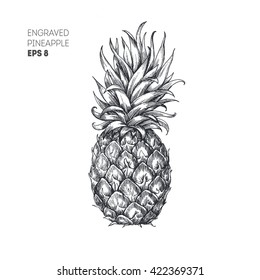 Pineapple illustration. Hipster pineapple print. Vector illustration