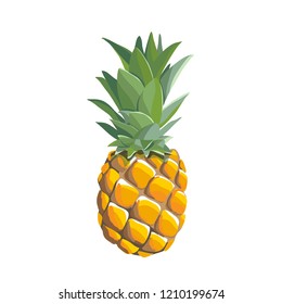 Pineapple illustration isolatet on white background