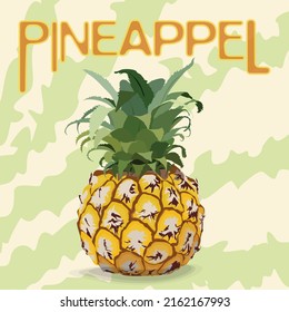 pineapple illustration on background texture