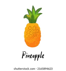 Pineapple illustration on white background