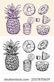 Pineapple, illustration set, realistic sketch, hand drawn vector