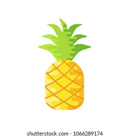 pineapple illustration symbol object. Flat icon style concept design