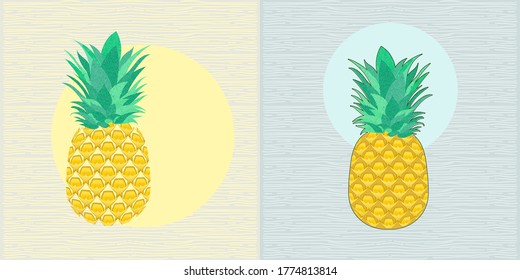 Pineapple Illustration with Textured Background