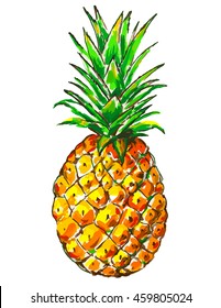 Pineapple Illustration, Vector Hand Drawn, Colorful