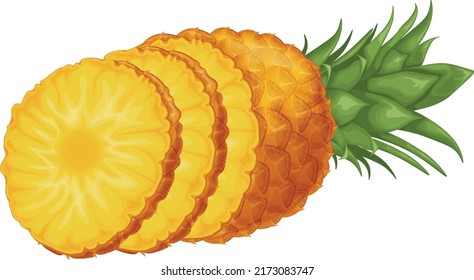 Pineapple. Image of pineapple cut into pieces. Pieces of ripe pineapple. Sweet tropical fruit. Vector illustration