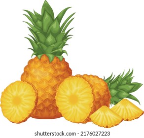 Pineapple. Image of pineapple cut into pieces. Pieces of ripe pineapple. Sweet tropical fruit. Vector illustration