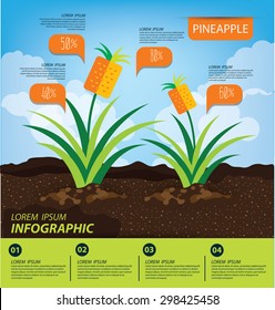 pineapple, infographics. fruits vector illustration.