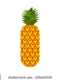 Pineapple isolated. ananas exotic tropical fruit. Vector illustration
