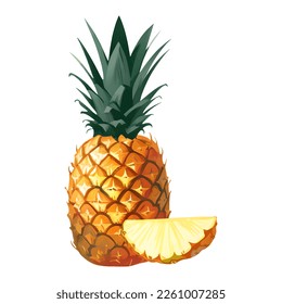 Pineapple Isolated Detailed Hand Drawn Painting Illustration