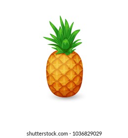 Pineapple isolated on white background. Vector tropical fruit.