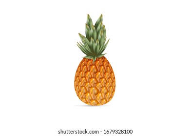 pineapple isolated on white background, fruit vector illustration