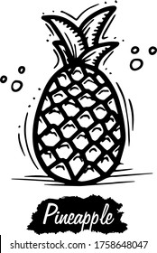 Pineapple isolated on white background. Vintage black vector engraving illustration. Hand drawn in a graphic style.