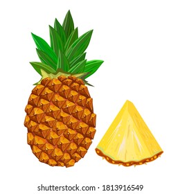 Pineapple isolated on white background. Pineapple with sliced flesh. Tropical exotic fruit icon. Sweet ananas with leaf side view. Healthy food concept. Citrus fruit chunk. Stock vector illustration