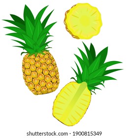 Pineapple isolated on white background, clip art, vector.
