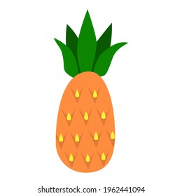 Pineapple isolated on a white background. Vector illustration