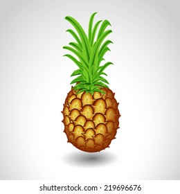 pineapple isolated on white background ripe juicy