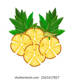 Pineapple isolated on white background. Fresh tropical fruit ananas slices with green leaves. Ripe juicy pineapple pieces. Raw sweet anana ring. For label or packaging design.Stock vector illustration