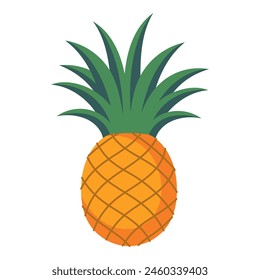 Pineapple isolated on white background, vector illustration