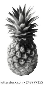 piña aislada sobre fondo blanco grunge retro semitono punteado vintage elemento de collage recortado para diseño de medios mixtos fruta tropical con hojas comida de verano objeto de aperitivo