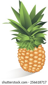 pineapple isolated on white background. Vector illustration.