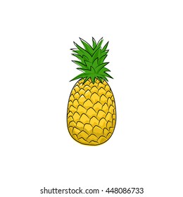 Pineapple Isolated on White Background, Tropical Fruit Ananas, Vector Illustration 