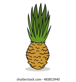 Pineapple isolated on white background