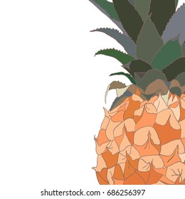 Pineapple Isolated on white. Fruit Design Frame with sweet pineapple.