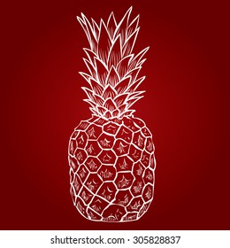 Pineapple isolated on white.  Hand drawn vector illustration.
