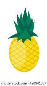 Pineapple isolated on white tropical healthy fruit, sweet ananas tasty fruit vector
