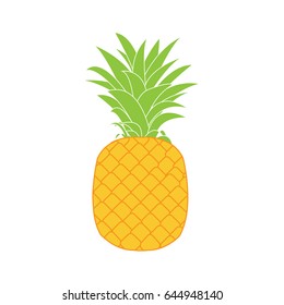 pineapple isolated vector