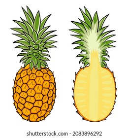 Pineapple isolated vector illustration. A set of whole and half pineapples. Juicy sweet tropical exotic fruits, healthy food