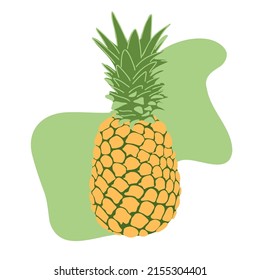 Pineapple with leaf icon on abstract green spot background. Tropical fruit simple hand drawn. Exotic summer vitamin healthy food ananas. Abstract flat concept vector illustration