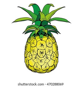 Pineapple with leaf icon. Tropical fruit isolated on white background. Symbol of food, sweet, exotic and summer, vitamin, healthy. Nature logo dessert. Flat concept. Design element Vector illustration