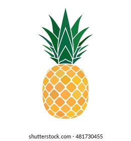 Pineapple with leaf icon. Tropical fruit isolated on white background. Symbol of food, sweet, exotic and summer, vitamin, healthy. Nature logo. Flat concept. Design element Vector illustration