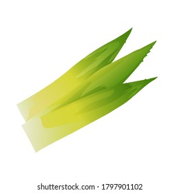 pineapple leaves isolated on white background