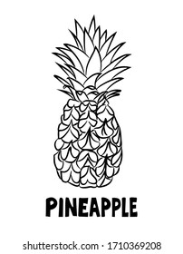 A pineapple with the leaves and peel. A tropical fruit is hand-drawn and isolated on a white background. Black - white vector illustration in Doodle style. Pineapple sketch in the style of a free hand