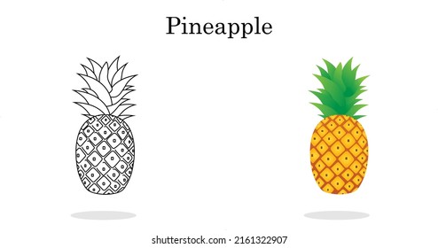 Pineapple line art color less fruit for pre school children's. Illustration of pineapple fruit with isolated cartoon style summer fruits, for a healthy and natural life, Vector illustration.