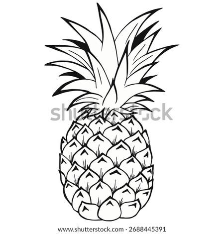 Pineapple line art coloring page vector. Tropical fruit sketch, black and white hand-drawn doodle outline. Perfect coloring book element.