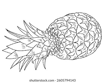 Pineapple line art illustration material
