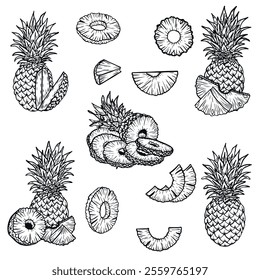 pineapple line drawing. Vintage pineapple whole, slices, pineapple with leaves, pineapple circle for juice label. Vector black ink outline food sketch illustration with juicy slice and peel of fruit