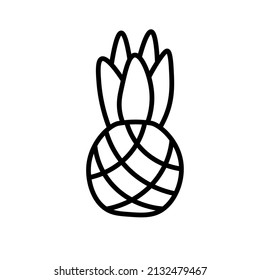 Pineapple line icon Pineapple icon elements for your design Vector fruit logo Contour isolated image on white background