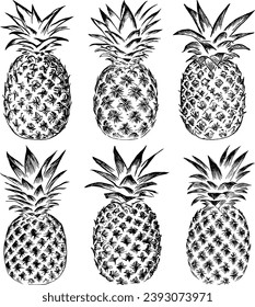 pineapple line illustrationline drawing pineapple