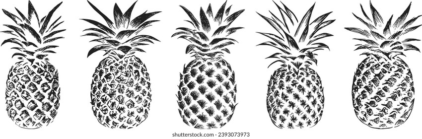 ilustraciones de línea de piña