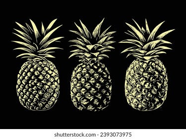 pineapple line illustrationline drawing pineapple