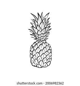 Pineapple Line vector illustration. Detailed Food icon for mobile concept, print, menu, and web apps. For for restaurant, bar, vegan, healthy and organic food, market, farmers market.