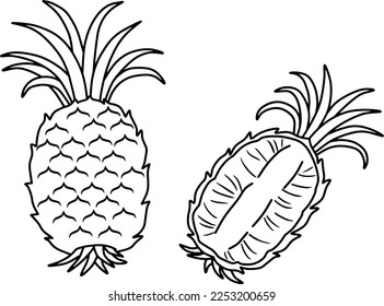 pineapple line vector illustration isolated on white background