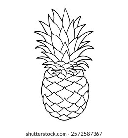 pineapple line vector illustration,isolated on white background,top view