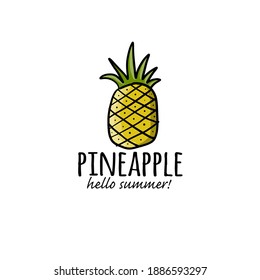 Pineapple logo. Sketch for your design. Vector illustration